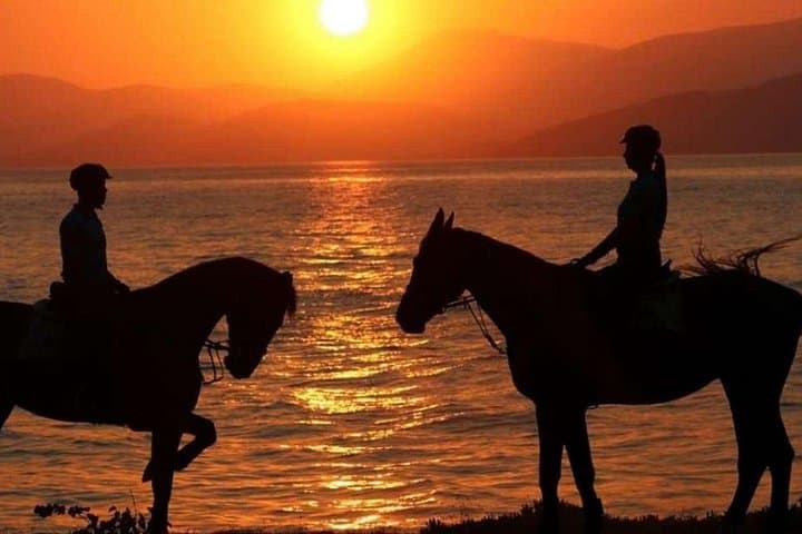 Sunset Horseback Ride on Taghazout Beach: Coastal Gallop at Golden Hour photo 1