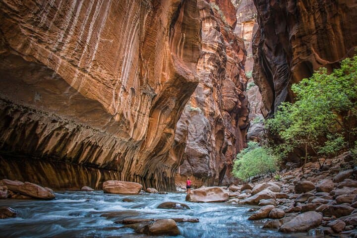 Zion National Park Day Trip from Las Vegas: Riverside Walks, Canyon Views & Guided Insights photo 3