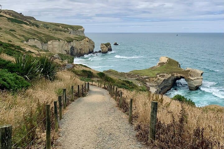 Coastal Catlins Cruiser: Private Day Tour from Dunedin Cruise Port photo 4