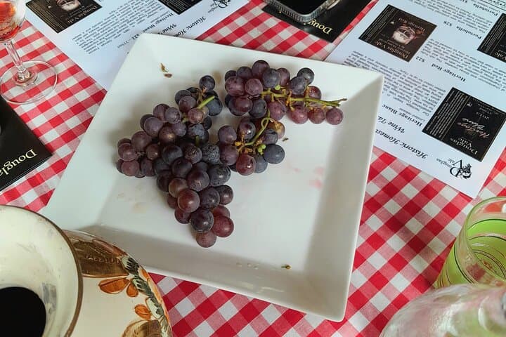 Port Macquarie Hastings Tasting Trail: Wine & Craft Beer Day Tour photo 4