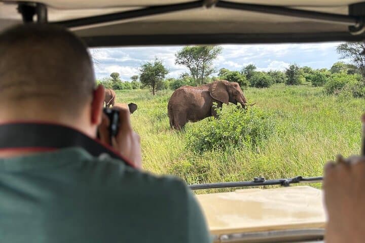 2-Day Ngorongoro Crater & Tarangire Camping Safari — Big Five on Tanzania's Northern Circuit photo 5