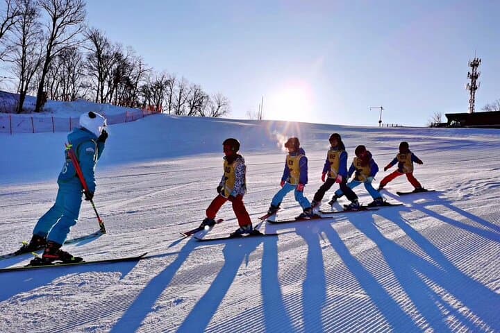 Hokkaido Full-Day Private Ski & Snowboard Lesson — Sapporo to Niseko Powder Coaching photo 4