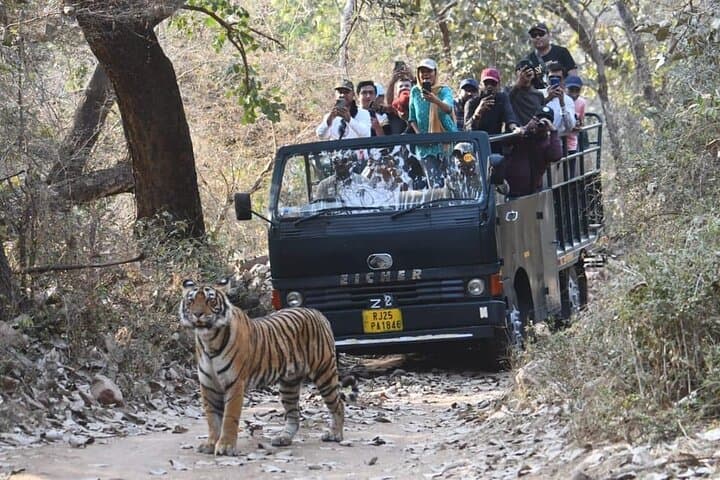 Taj Mahal and Ranthambore: 3-Day Sunrise, Sunset & Tiger Safari Experience photo 4