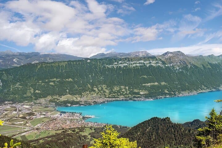 Grindelwald Canyon Swing & Interlaken Day Trip from Zurich — Alpine Swing and Scenic Stops photo 4