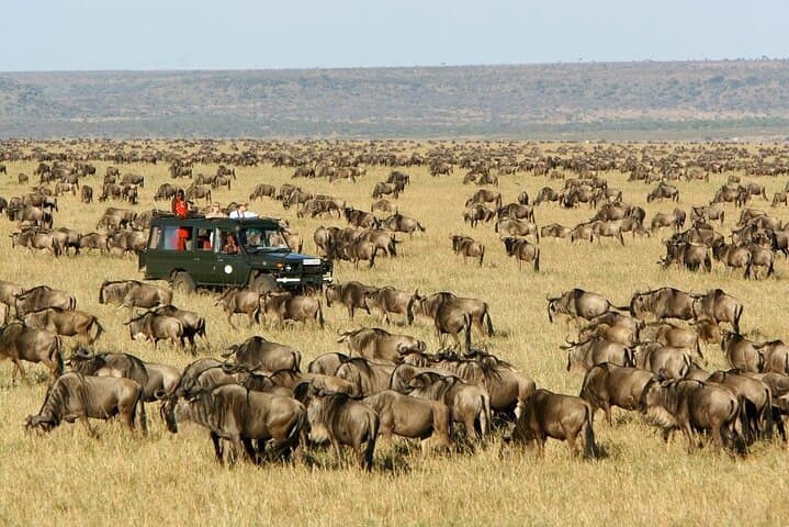 3-Day Maasai Mara Safari: Big Five Game Drives & Tented Camp Experience photo 3