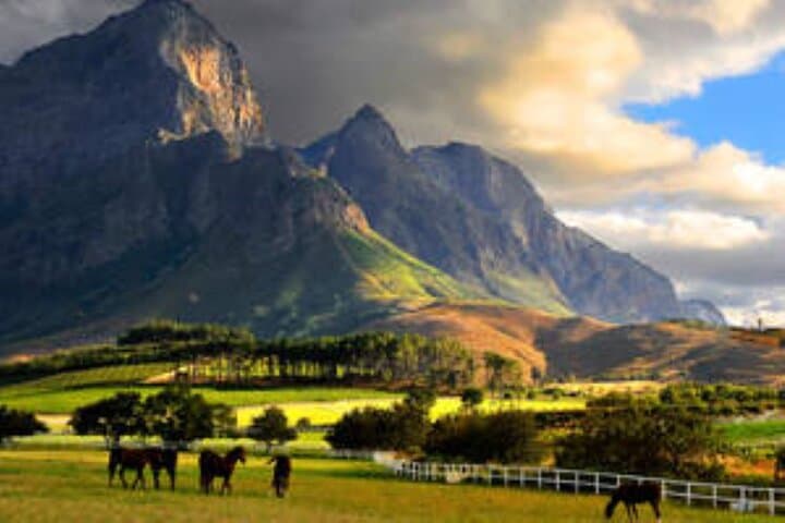 Custom Cape Winelands Private Wine Tour — Stellenbosch to Constantia Your Way
