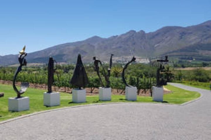 Custom Cape Winelands Private Wine Tour — Stellenbosch to Constantia Your Way photo 2
