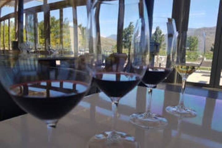 Custom Cape Winelands Private Wine Tour — Stellenbosch to Constantia Your Way photo 3