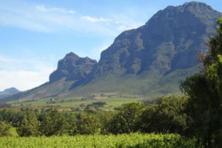 Custom Cape Winelands Private Wine Tour — Stellenbosch to Constantia Your Way photo 4