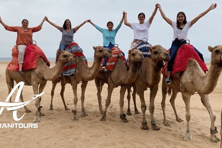 Private Day Trip from Marbella to Tangier — Ferry Crossing, Cape Spartel & Medina Tour photo 4