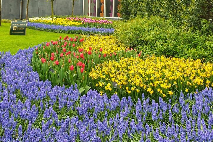 Keukenhof and Delft Day Tour from Amsterdam — Tulip Fields & Delftware photo 5