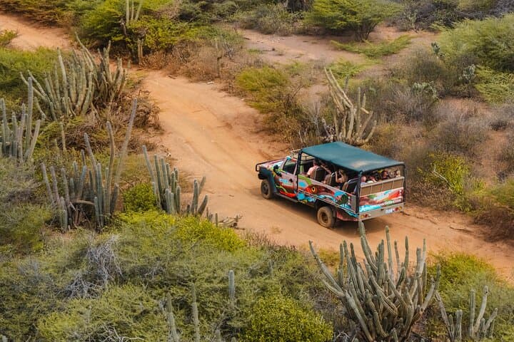 Half-Day Off-Road & Snorkel Safari in Curaçao’s East: Director’s Bay & Coastal Vistas photo 2