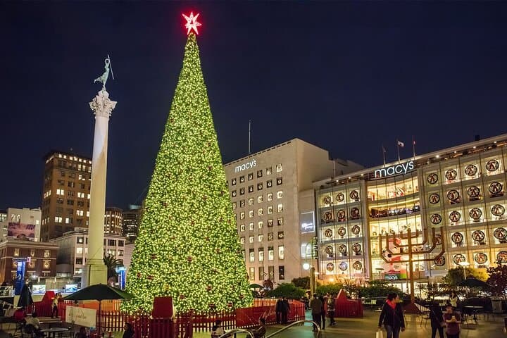San Francisco Holiday Lights Tour with Ghirardelli Hot Chocolate photo 4