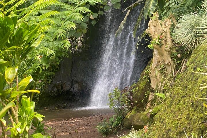 Discovery of Tahiti Nui Island: Full-Day Cultural & Scenic Tour from Papeete