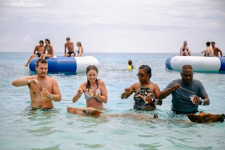 Water Taxi to the Swimming Pigs of Rose Island — Nassau Day Trip