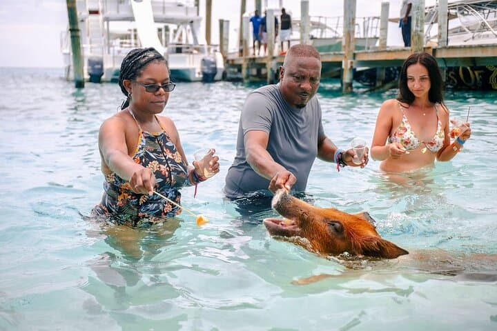 Swimming Pigs of Rose Island: Nassau Beach Day with Snorkel & Water Toys