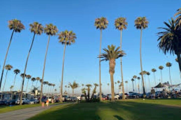 Private Full-Day Orange County Beach Cities Tour from Los Angeles photo 4