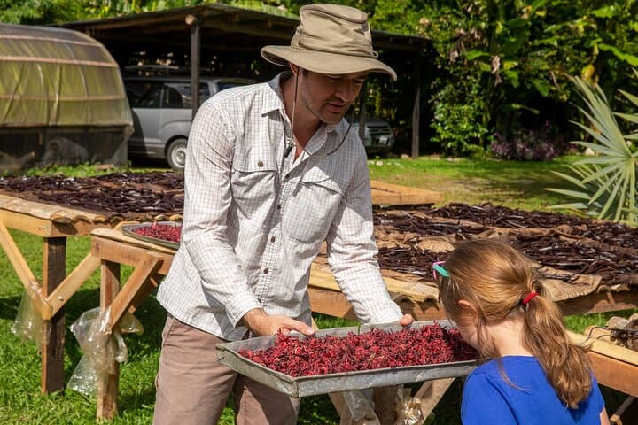 Villa Vanilla Spice Tour in Manuel Antonio: Hands-On Vanilla, Cinnamon & Rainforest Views