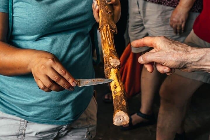 Villa Vanilla Spice Tour in Manuel Antonio: Hands-On Vanilla, Cinnamon & Rainforest Views photo 4