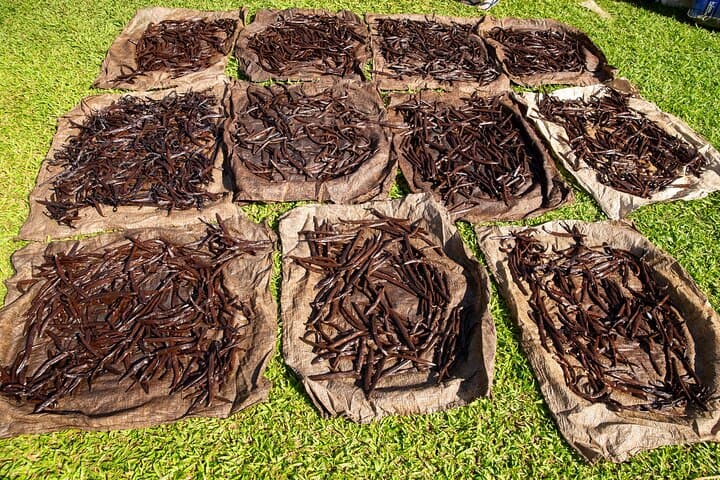 Villa Vanilla Spice Tour in Manuel Antonio: Hands-On Vanilla, Cinnamon & Rainforest Views photo 5