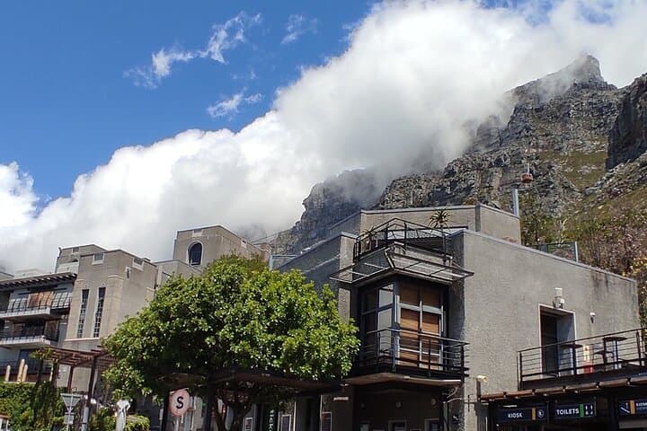 Robben Island & Table Mountain: Pre-Booked Tickets for a Half-Day Cape Town Experience photo 4
