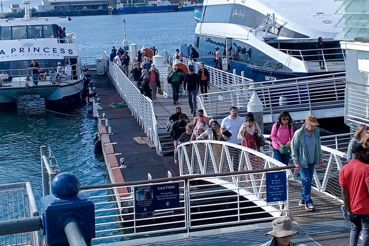 Robben Island & Table Mountain: Pre-Booked Tickets for a Half-Day Cape Town Experience photo 6