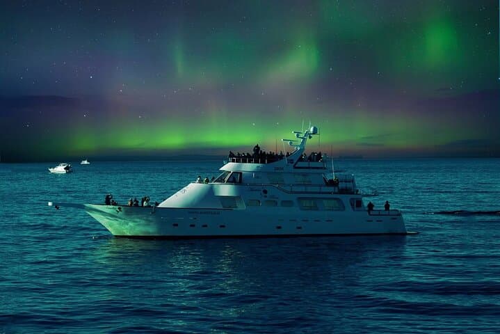 Under Arctic Skies