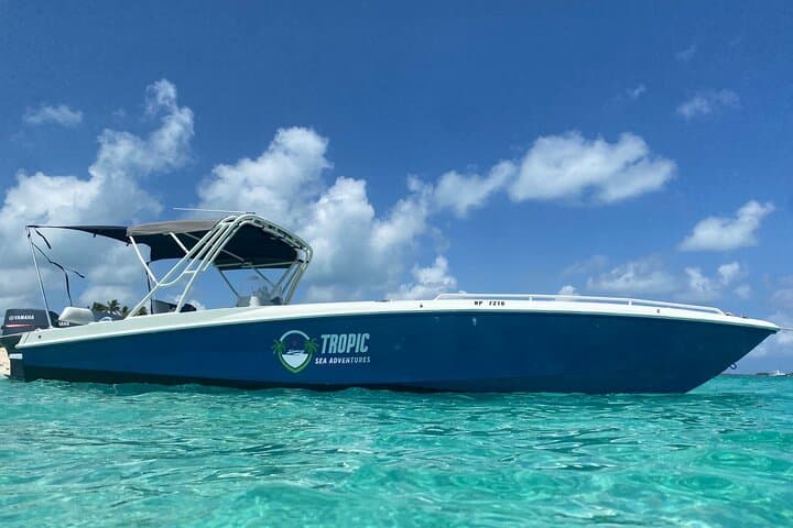 Private Rose Island Half-Day: Snorkel Turtles, Swimming Pigs & Sandy Cays photo 4