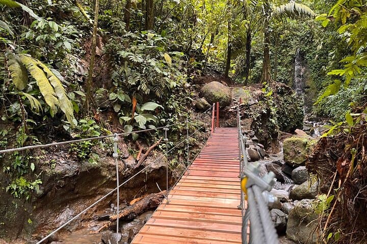 Three-Hour Rainforest Walk in La Fortuna: Wellness Park Guided Hike photo 5