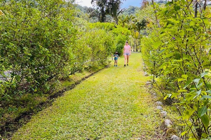 Three-Hour Rainforest Walk in La Fortuna: Wellness Park Guided Hike photo 6