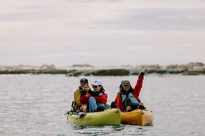 Paddle with Seals: Private Kayak & Wildlife Tour Kaikoura photo 5