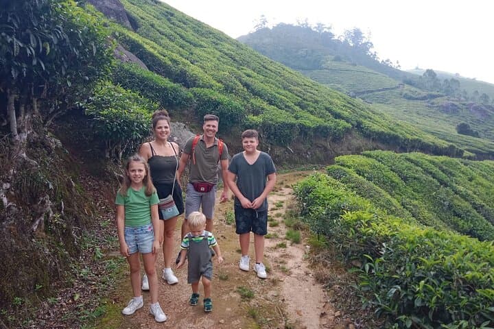 Munnar Two-Day Tea-Hill Trek & Waterfalls from Kochi photo 3