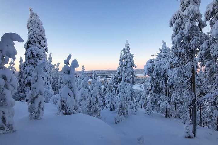 Riisitunturi & Korouoma Canyon Day Hike — Frozen Waterfalls & Snow Forests of Lapland photo 6