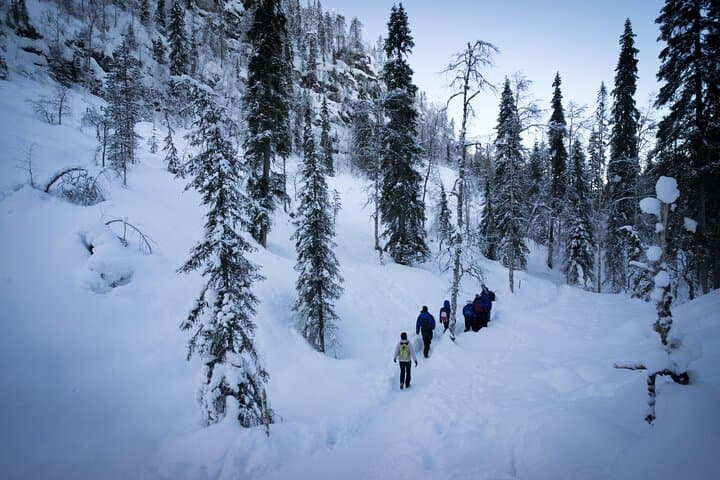 Riisitunturi & Korouoma Canyon Day Hike — Frozen Waterfalls & Snow Forests of Lapland photo 2