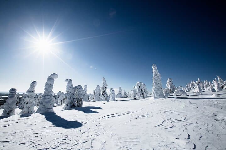 Riisitunturi & Korouoma Canyon Day Hike — Frozen Waterfalls & Snow Forests of Lapland photo 3