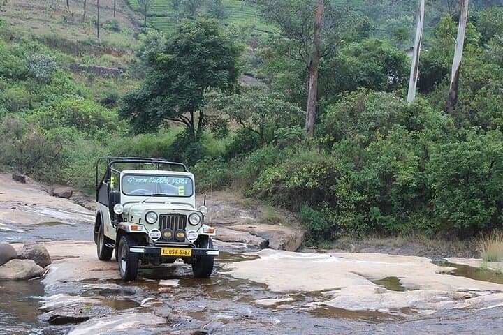 Anakulam Jeep Safari: Wild Elephant Encounters & Waterfalls Near Munnar photo 3