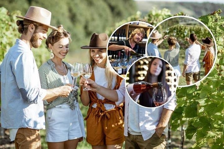 Queenstown Afternoon Wine Tour — Gibbston Valley Pinot & Iconic Cellar Doors