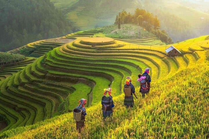 15-Day Authentic Vietnam Adventure: North-to-South Highlights and Practical Guide photo 4