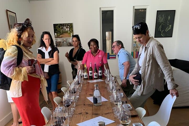 Table Mountain and Constantia Wine Tasting Tour — Cape Town in a Day photo 5