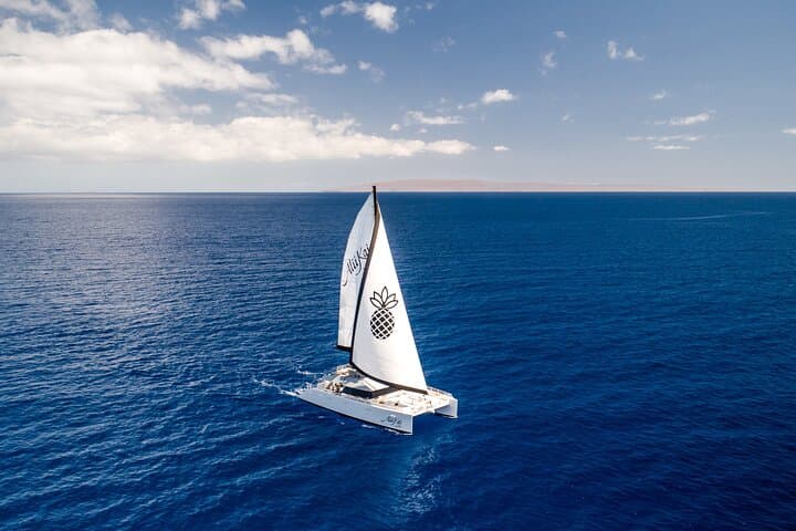 Royal Sunset Dinner Sail on Maui's Luxury Catamaran