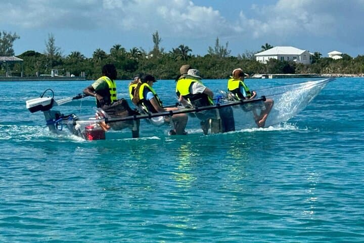 Motorized Clear-Kayak Mangrove Tour in Providenciales — Electric Eco-Boat Experience photo 4