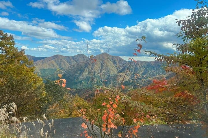 Two-Day Nikko Cycling Tour with a Local Monk — Oku-Nikko Onsen, Zazen & Scenic Cycling photo 2