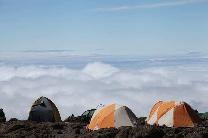 7-Day Machame Route Kilimanjaro Trek: Summit Uhuru Peak via Whiskey Route