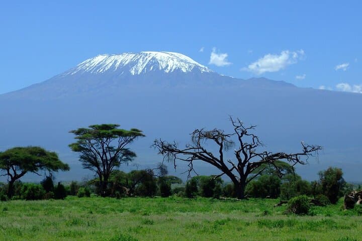 7-Day Machame Route Kilimanjaro Trek: Summit Uhuru Peak via Whiskey Route photo 3