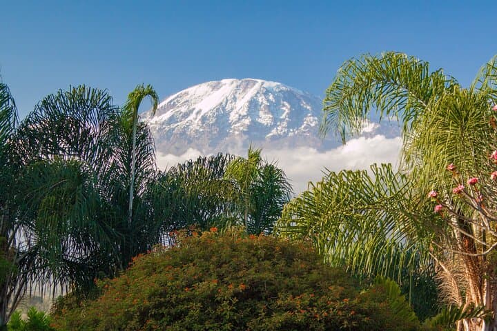 7-Day Machame Route Kilimanjaro Trek: Summit Uhuru Peak via Whiskey Route photo 4