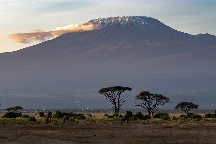 7-Day Machame Route Kilimanjaro Trek: Summit Uhuru Peak via Whiskey Route photo 5