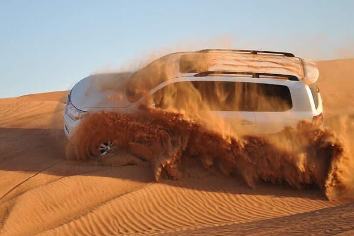 Dubai Red Dunes Sunset Safari: 4-Hour Private 4x4, Camel & Falcon Experience