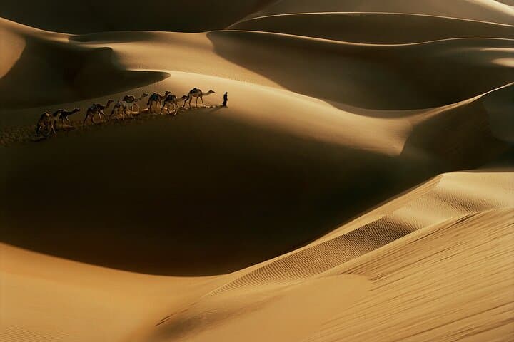 Dubai Red Dunes Sunset Safari: 4-Hour Private 4x4, Camel & Falcon Experience photo 5