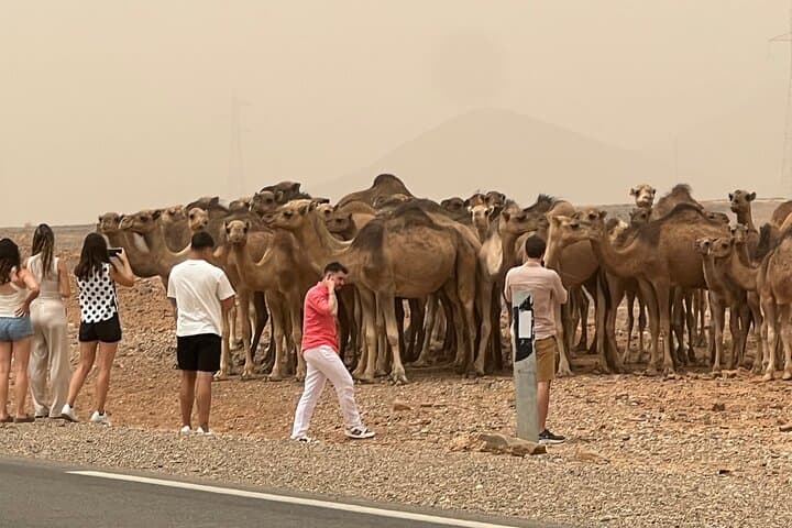 7-Day Casablanca to Merzouga Sahara Desert Private Tour photo 1