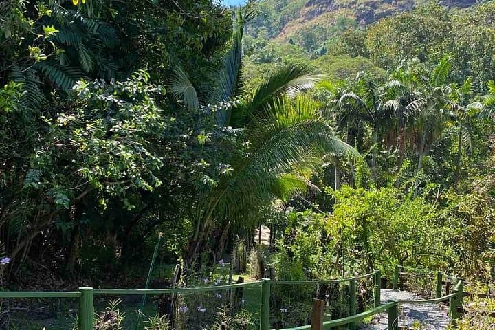 Nadi Fiji Half-Day: Temple, Market, Garden & Sabeto Mud Pools photo 2